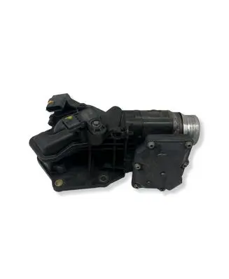 Renault Trafic III (X82) Throttle valve A2C84198300 311170517 H8201374868