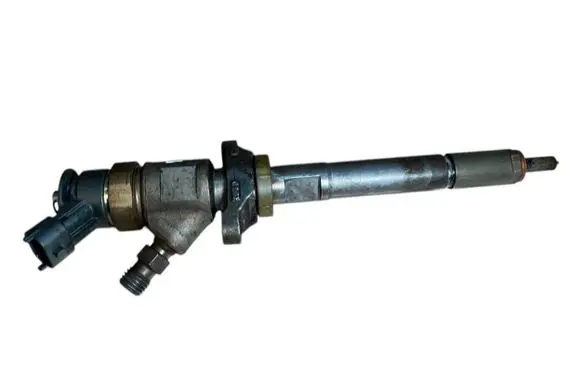 Citroen C3 Fuel injector 0445110311