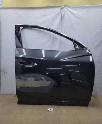 Hyundai Tucson IV NX4 Front door 