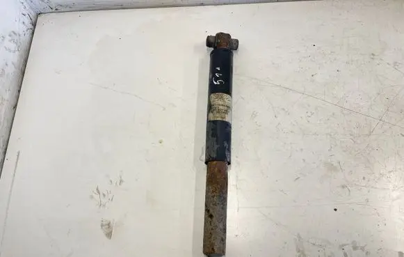 Ford Focus Rear shock absorber/damper EC001501