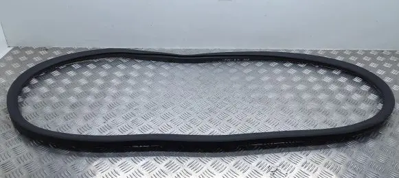 Peugeot 508 II Rear door rubber seal (on body) 9818906880