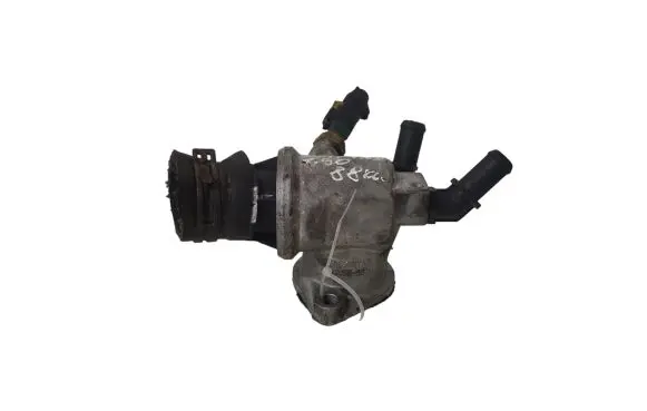 Thermostat/thermostat housing
