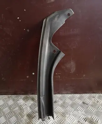 Engine bonnet/hood lock trim molding
