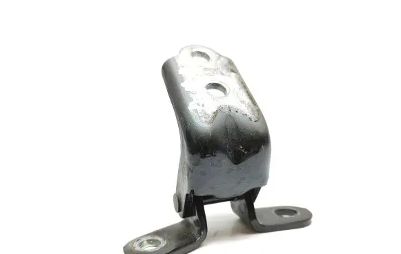 KIA Sportage Front door lower hinge 