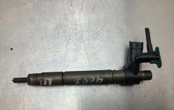 Peugeot 4007 Fuel injector 9659228880