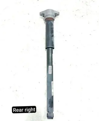 Porsche Panamera (971) Rear shock absorber/damper 971513035B