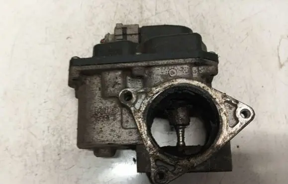 EGR valve