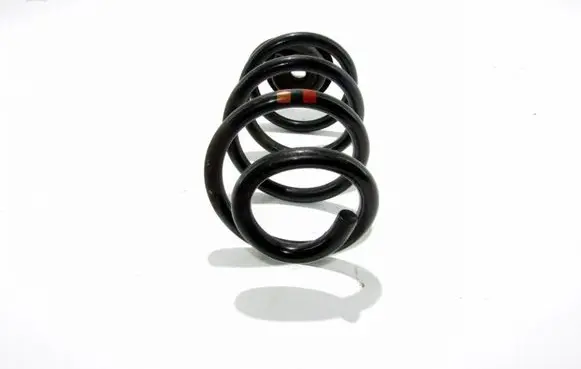Nissan Qashqai Rear coil spring