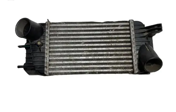 Nissan Juke I F15 Intercooler radiator 144611KC0B SHA1385003