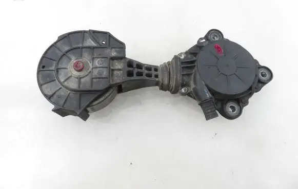 Peugeot 207 Timing belt/chain tensioner V75488488007
