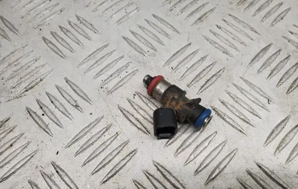Dodge RAM 1500 DS Fuel injector 05281239AA