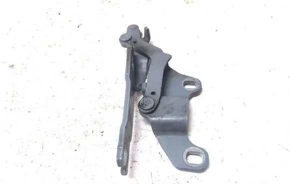 BMW X1 E84 Engine bonnet/hood hinges 7115264