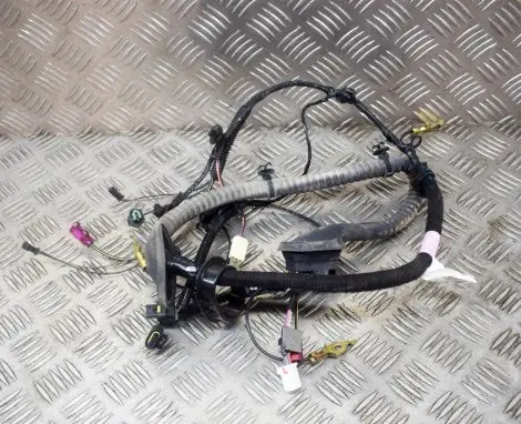 Tesla Model 3 Other wiring loom 106878980D