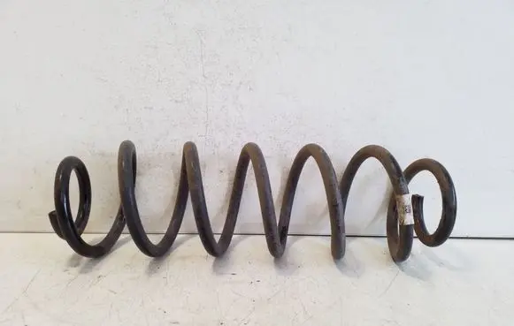 Rear coil spring