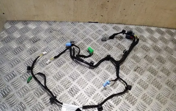 Front door wiring loom