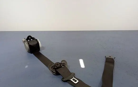 BMW X6 E71 Front seatbelt 7161042