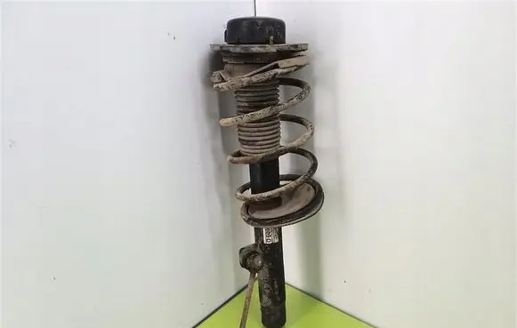 Peugeot 206+ Front shock absorber with coil spring 