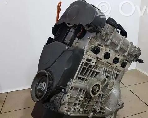 Volkswagen Golf V Engine CGG