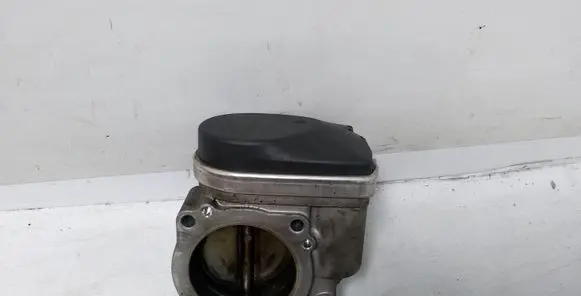 Chevrolet Epica Throttle valve A2C53081161 96417710