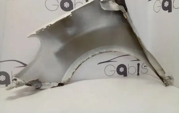 Fiat Doblo Fender