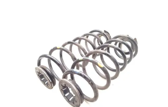 Rear coil spring