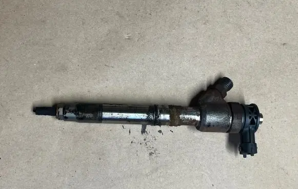KIA Carens III Fuel injector 0445110589 338002a610