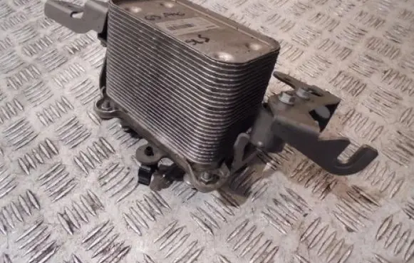 Mercedes-Benz SLS AMG Engine oil radiator A1975000800