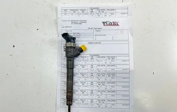 Renault Trafic III (X82) Fuel injector 0445110569