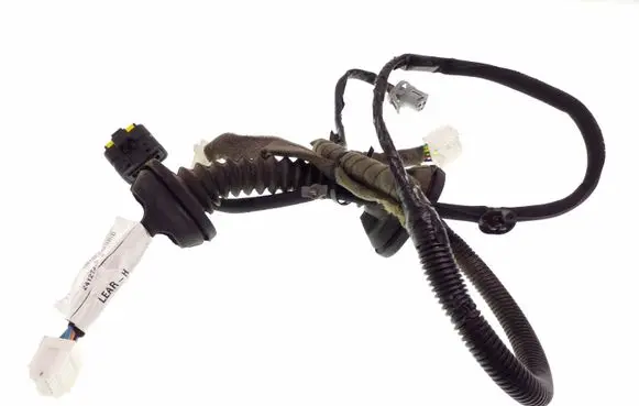 Rear door wiring loom