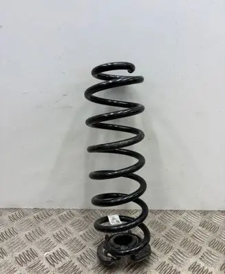 Volkswagen Tiguan Rear coil spring 5QS511103L
