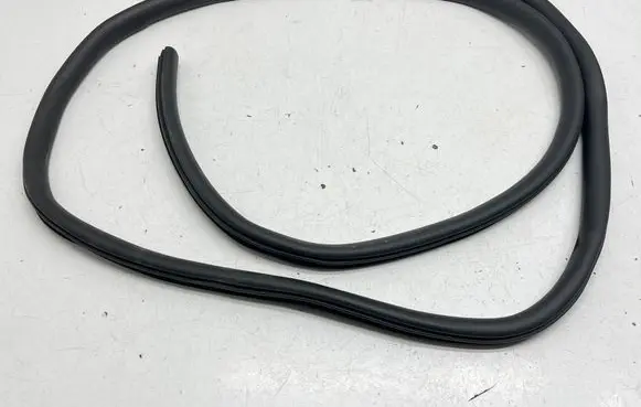 Ford Escape IV Rear door rubber seal (on body) JL6BS253A10