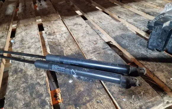 Tailgate strut