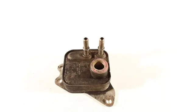 Oil filter mounting bracket