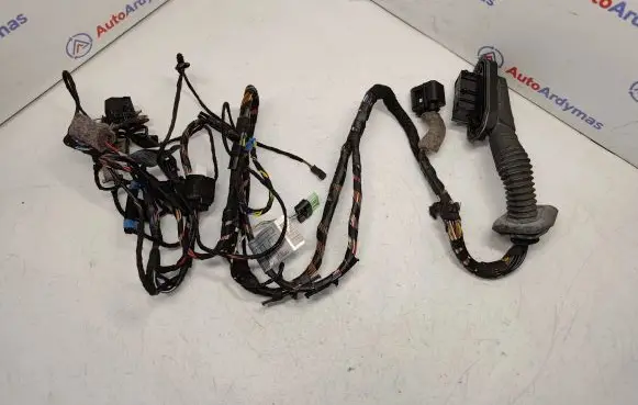 BMW X5 E70 Front door wiring loom 9239538 61129242072