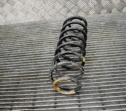 Ford Ecosport Rear coil spring