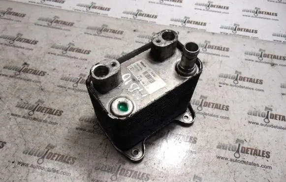 Mercedes-Benz E W210 Engine oil radiator A6131880101
