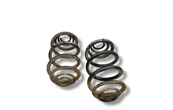 Rear coil spring