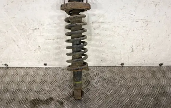 Mitsubishi Outlander Rear shock absorber/damper 4162A411