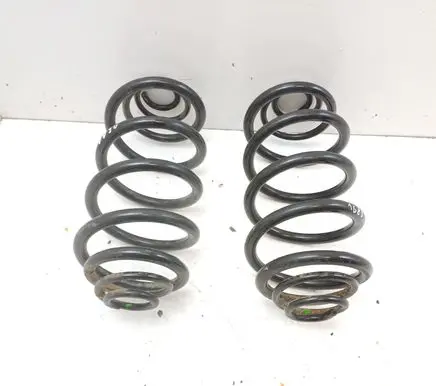 Renault Kangoo II Rear coil spring