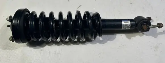 Ford F150 Front shock absorber with coil spring fl418045