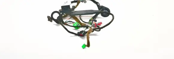 Front door wiring loom