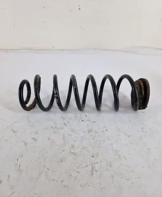 Rear coil spring