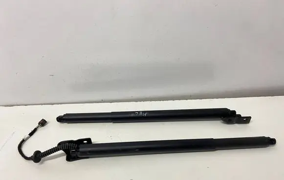 Chery Jaecoo 7 Tailgate hydraulic set 554000582AB