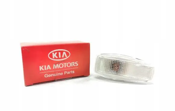 Hyundai Lantra II Front fender indicator light 923042D110
