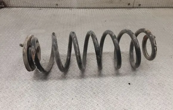 Rear coil spring