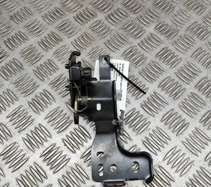 Chevrolet TrailBlazer Tailgate/trunk/boot lock/catch/latch 16887553