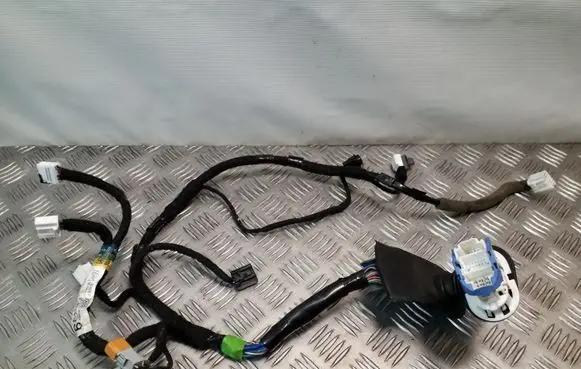 Front door wiring loom