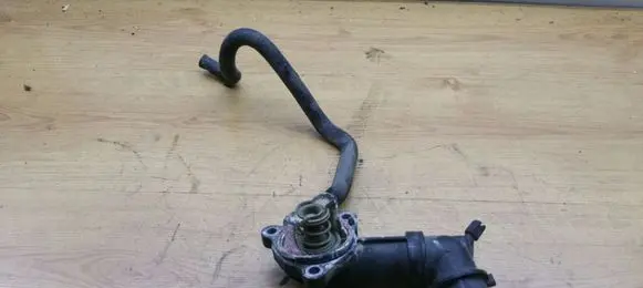 Thermostat/thermostat housing