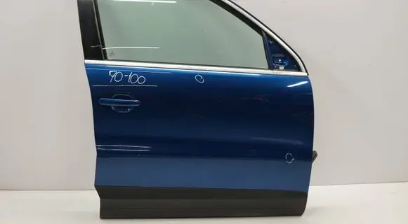 Volkswagen Tiguan Front door 5N100726DPP