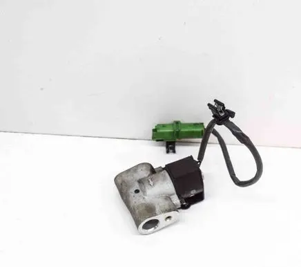 Renault Zoe Air conditioning (A/C) expansion valve 924871682R 4433101163